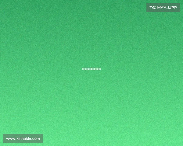 体育赛事视频录像回放导航