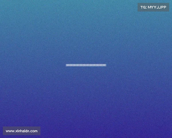 尤文图斯最新赛事战报意甲联赛连胜势头强劲欧冠征程蓄势待发