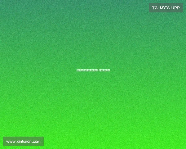 老年体育协会—老年体协赛事盛 银龄活力齐绽放